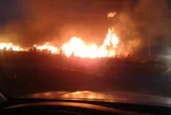 Ahora, Corrientes: se quemó parte de una reserva ecológica y hay alerta máxima