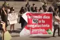 En Tucumán, organizaciones ambientalistas rechazaron las megafactorías porcinas