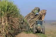 La agroindustria sucroalcoholera sustentable será el eje de una capacitación de la Eeaoc