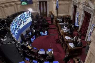 En vivo: el Senado debate la prórroga de la Ley de Biocombustibles