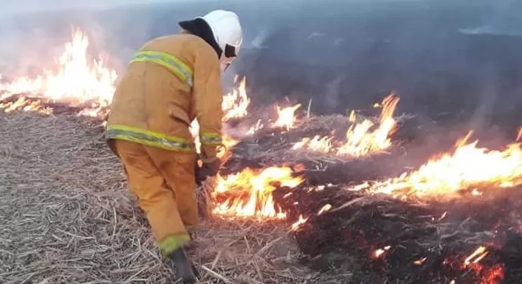 Cuáles son las zonas más afectadas en Tucumán por la quema de cañaverales y pastizales