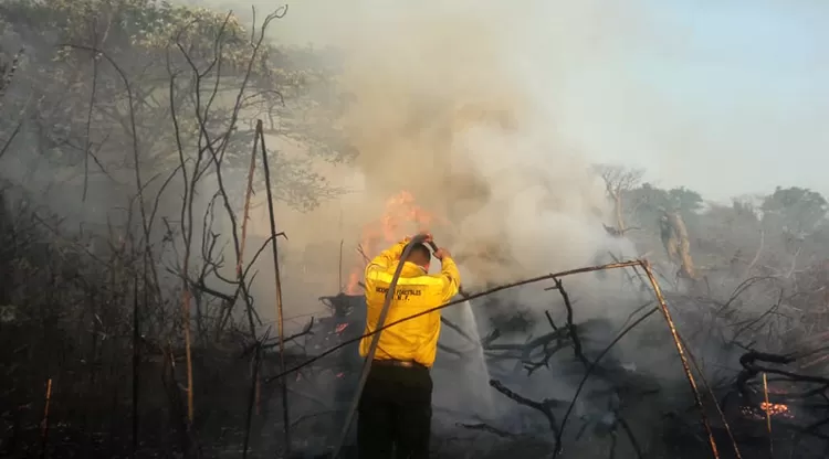 PELIGRO. Un operario trabaja para apagar un incendio por la quema de cañaverales. Foto: Comunicación Pública