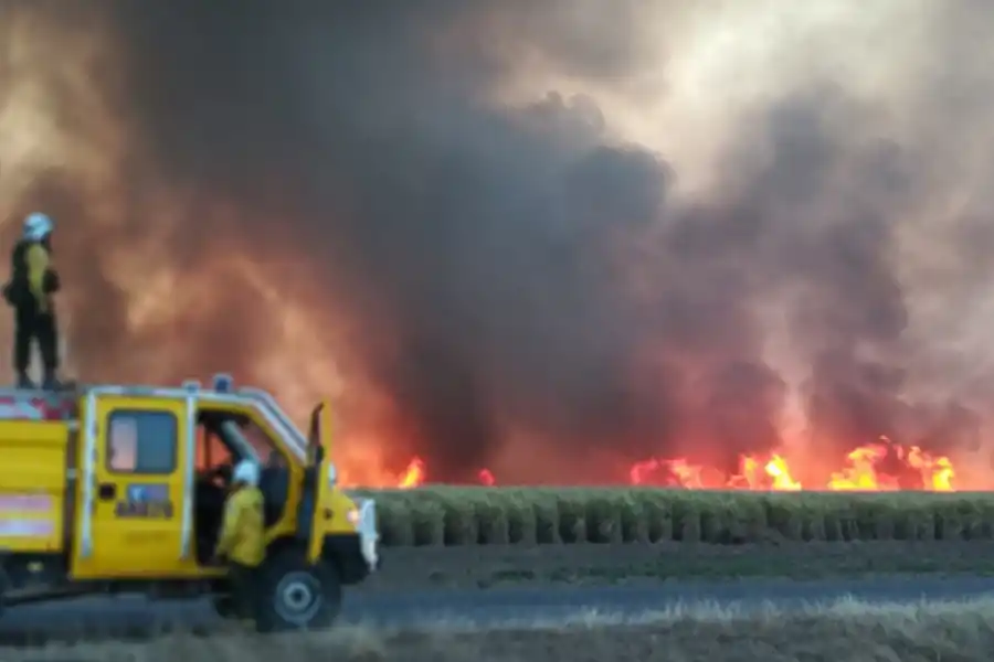 PRENSA COMUNICACIÓN PÚBLICA