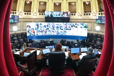 ¿Se mantienen las sesiones remotas? Ahora el debate se traslada al Senado