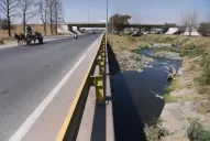 “La basura trae otras enfermedades peligrosas”