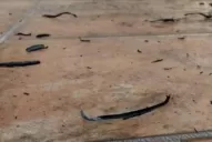 La lluvia de hollín, un problema de nunca acabar para los tucumanos