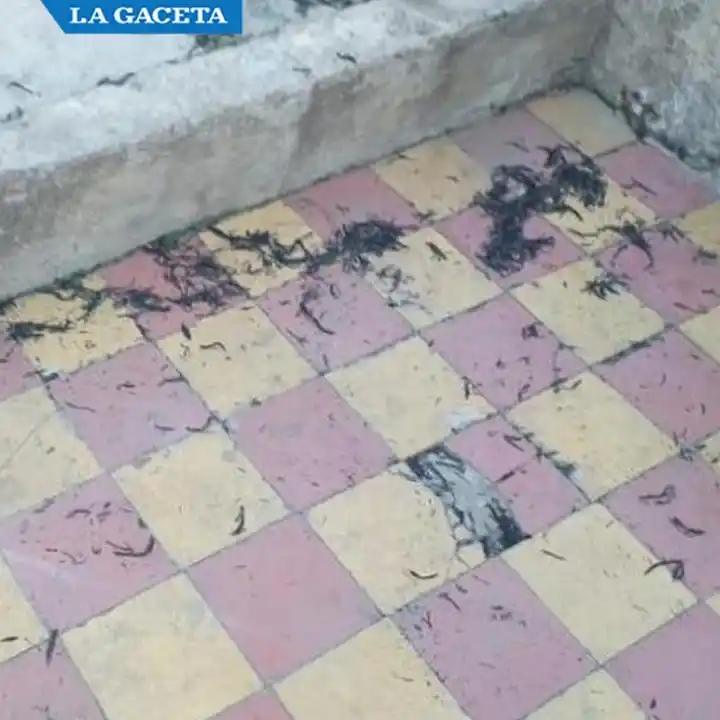 La lluvia de hollín, un problema de nunca acabar para los tucumanos