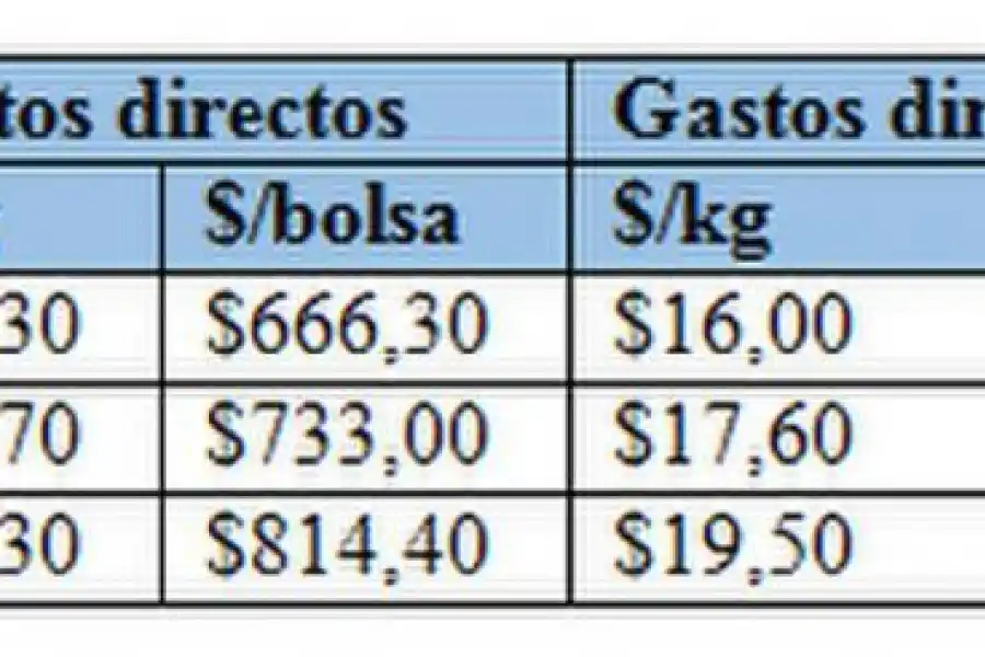 Caña: evaluación económica del cultivo