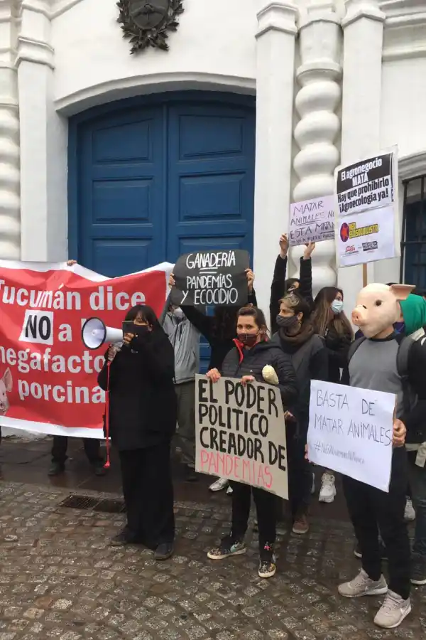 CONTRA LA PRODUCCIÓN PORCINA. Protesta frente a la Casa Histórica. Foto: LA GACETA / Inés Quinteros Orio