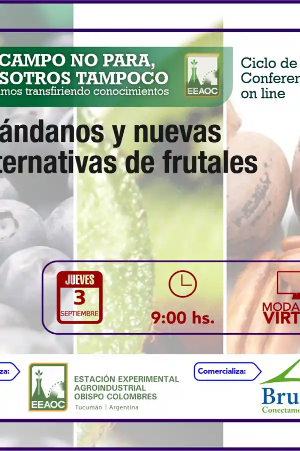 Disertarán en la Estación Experimental sobre arándanos y alternativas frutales 