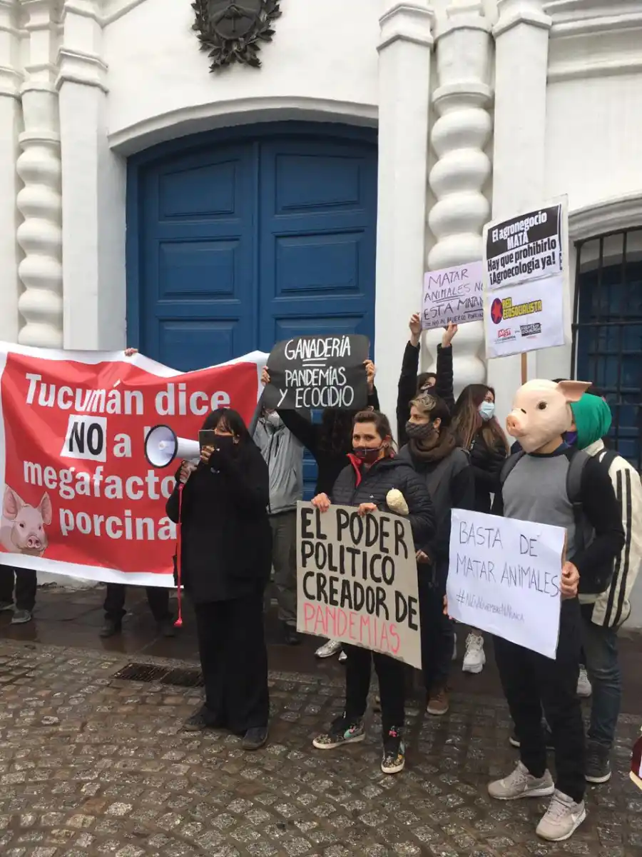 CONTRA LA PRODUCCIÓN PORCINA. Protesta frente a la Casa Histórica. Foto: LA GACETA / Inés Quinteros Orio
