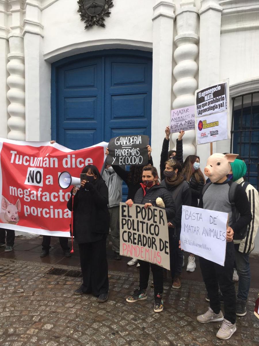 CONTRA LA PRODUCCIÓN PORCINA. Protesta frente a la Casa Histórica. Foto: LA GACETA / Inés Quinteros Orio