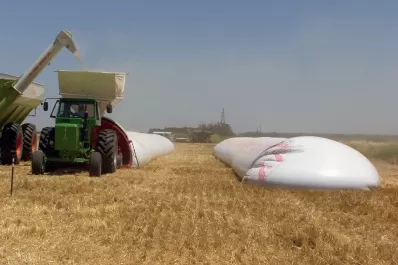 La agroindustria aportó U$S 7 de cada U$S 10 de las exportaciones