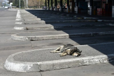 Clima en la capital tucumana: se viene un fin de semana con sol y calorcito