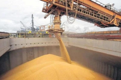 Podría llevar 25 años recuperar el nivel de exportaciones de 2011