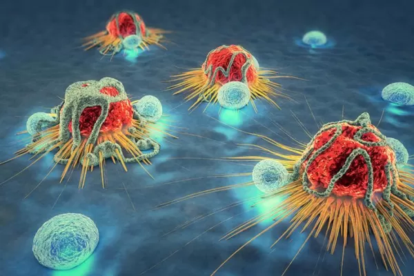 Un estudio revela cómo el cáncer elude el sistema inmunológico