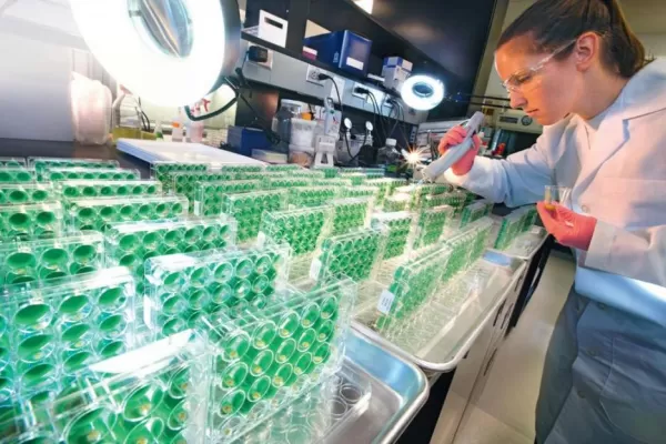 Conocer el genoma de la semilla para tomar la decisión perfecta