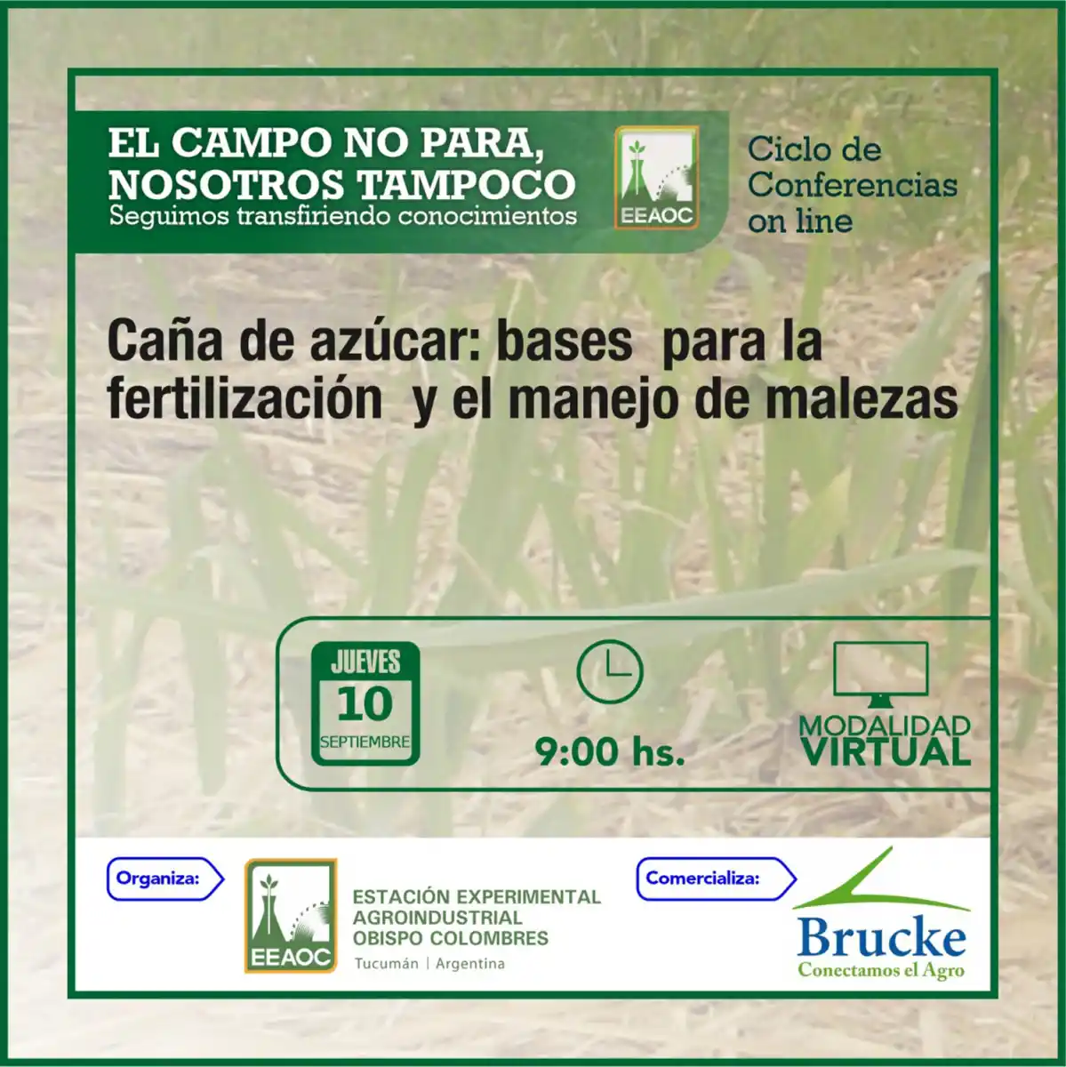 La Estación Experimental dicta una charla sobre fertilización y malezas en caña