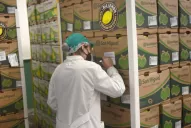 Argentina registró un déficit comercial de U$S 364 millones en diciembre
