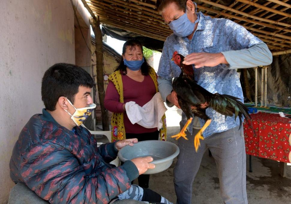 HIGIENE. Gabriel Sierra junto a sus padres lava uno de los gallos finos.