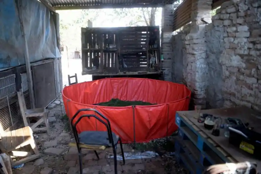 ENTRENAMIENTO. Este es el brete, donde los gallos hacen las “topadas”.