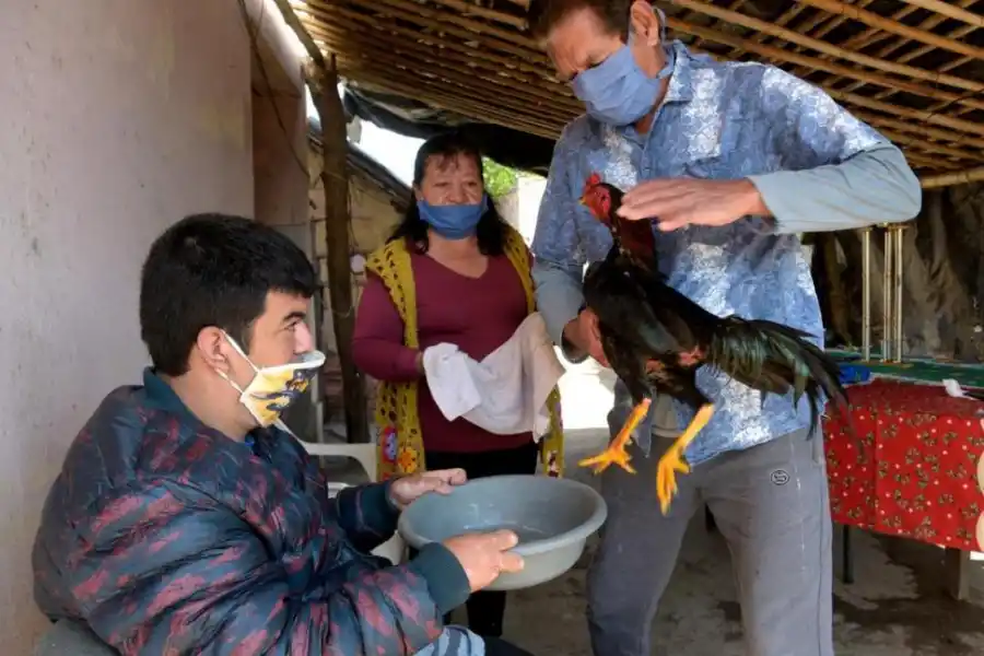 HIGIENE. Gabriel Sierra junto a sus padres lava uno de los gallos finos.