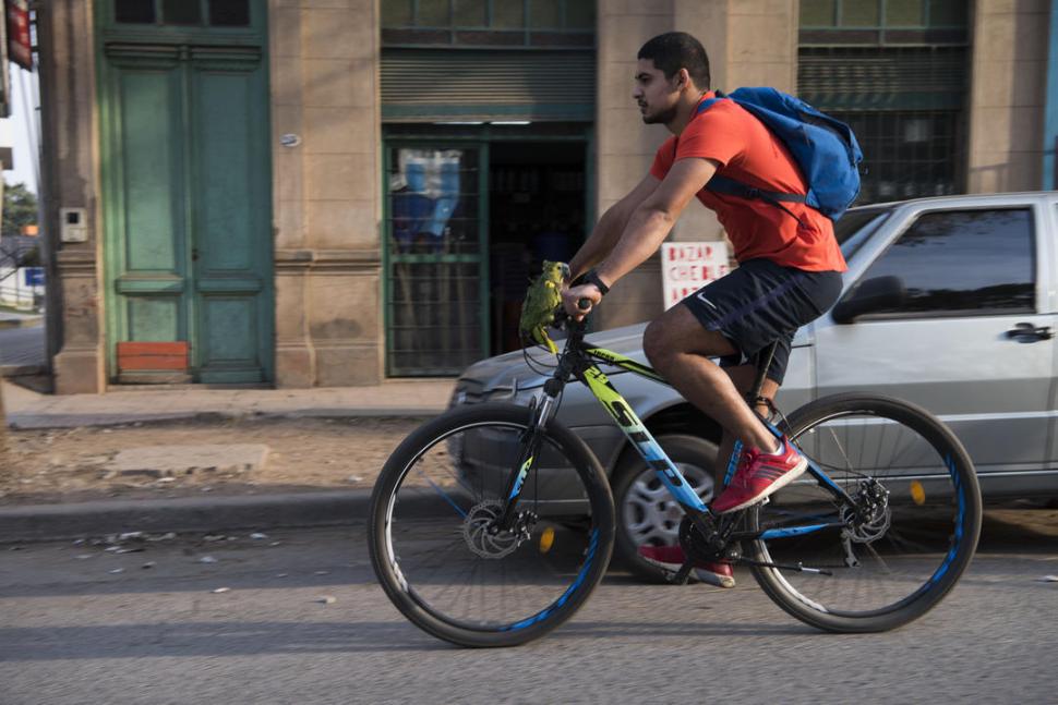 POR EL CENTRO. Facundo pasea en su bici por la ciudad mientras Paco se mantiene en total equilibrio sobre el manubrio. 