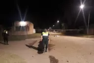 Se entregó otro de los jóvenes acusados de matar a un ladrón