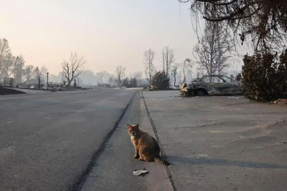 Los vientos llevan nubes de humo hacia el océano Pacífico desde Oregon y California