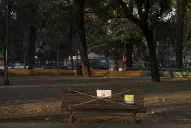 Registraron 43 muertes por coronavirus y ya son 11.710 las víctimas mortales en el país