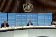 La OMS advirtió que las fiestas de fin de año pueden convertirse en un drama