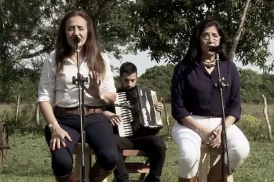 Televisión Pública: oferta con artistas argentinos