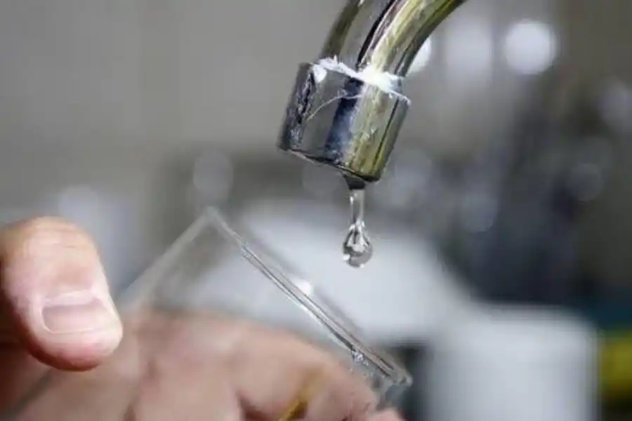  la gaceta / foto de matias quintana  