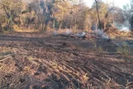 Usurpaciones: torturas y amenazas por un terreno en El Cadillal