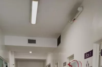 Laboratorio Flores: ¿cuándo es mejor hacer el hispodado?