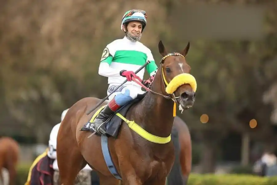 INVICTO. Sarfo ganó en Palermo y será el representante tucumano en la “Polla”.