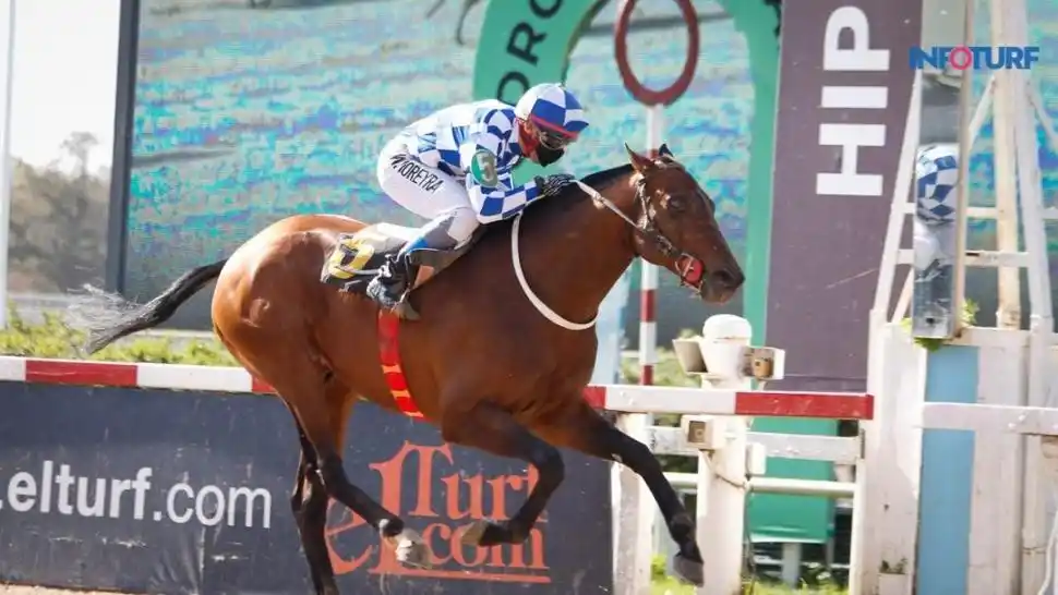 IMPARABLE. Joy Filoso logró su éxito N° 15 y ahora correrá el clásico “Ecuador”. 