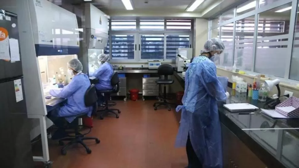 TAREA CONJUNTA. El Laboratorio de Salud Pública y los centros privados efectuarán los tests rápidos, además de la PCR y de otros muestreos. COMUNICACIÓN PÚBLICA