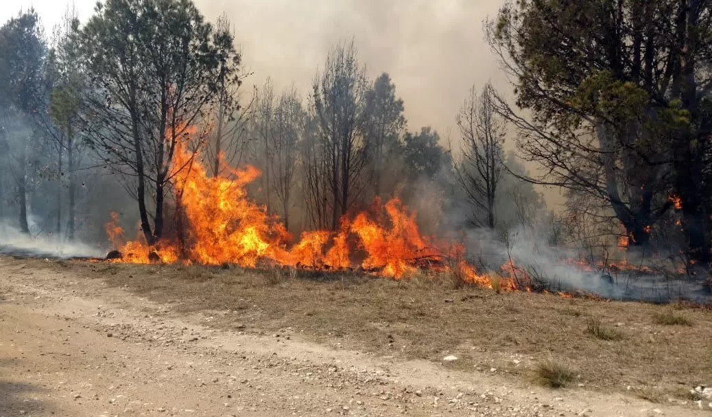 CÓRDOBA. Los principales focos de incendios forestales se mantenían hoy en las serranías de Giardino, Pampa de Olaen y Villa Carlos Paz.