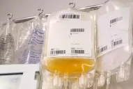 ¿Te recuperaste y querés ayudar? Cómo donar plasma para pacientes con covid-19