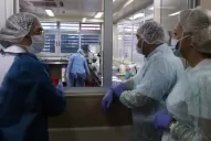 La Nación explicó por qué la curva de muertes por coronavirus no baja en simultáneo a la de contagios