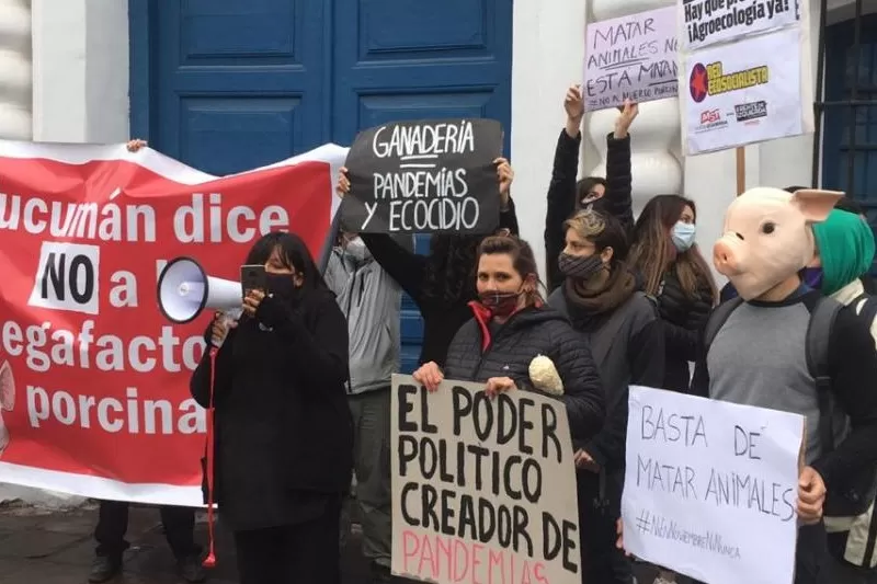 CONTRA LA PRODUCCIÓN PORCINA. Ambientalistas en una manifestación contra la megafactoría. Foto: Archivo LA GACETA / Inés Quinteros Orio