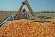 Productores del norte repudiaron el cierre de las exportaciones de maíz