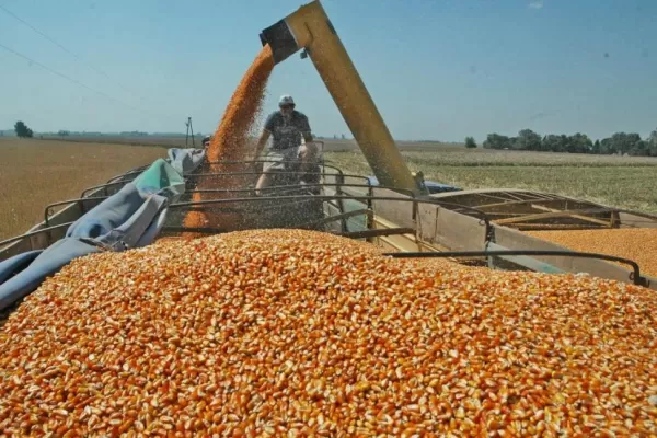 Productores del norte repudiaron el cierre de las exportaciones de maíz