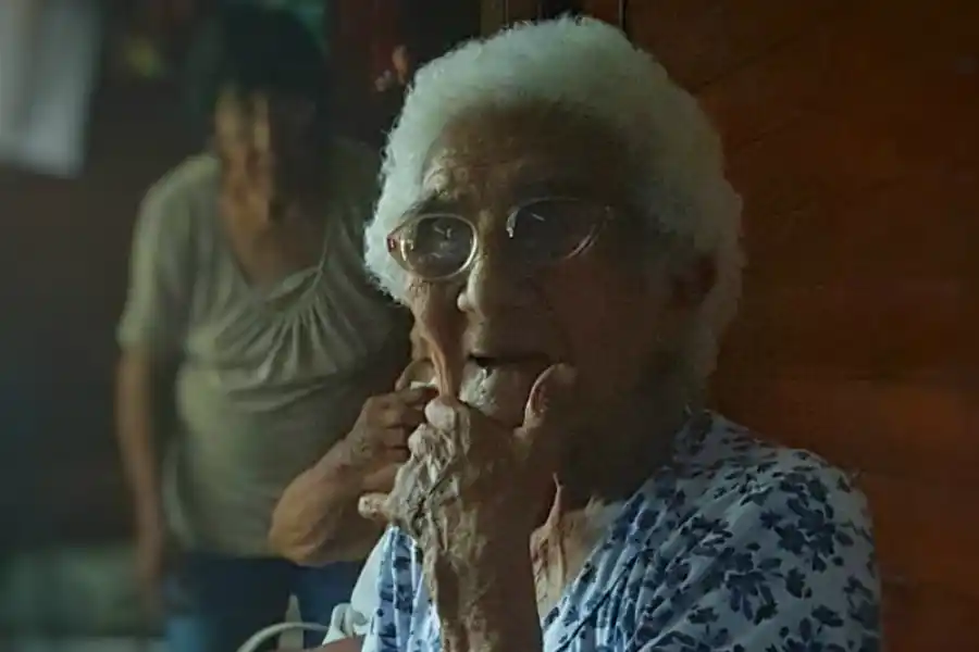 LUISA PALAVECINO. La tucumana que cumplió 101 años en pandemia. 