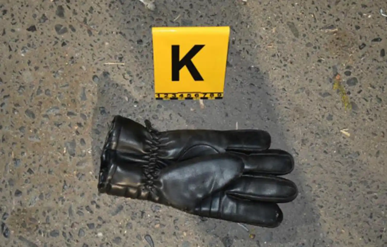 Protección. Peritos encontraron un par de guantes en la escena del crimen de Dominé.