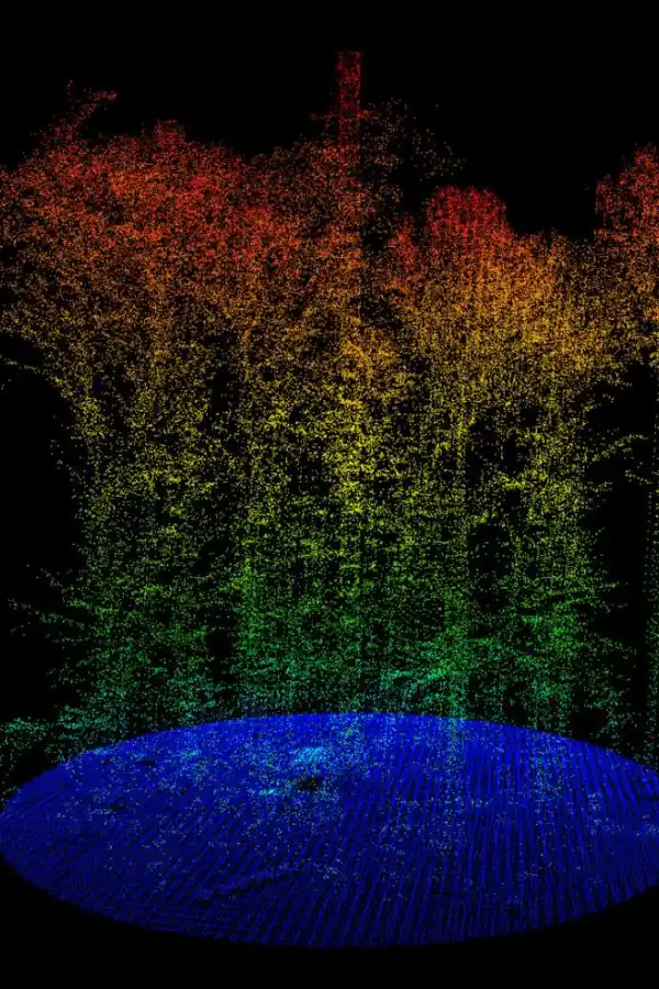 CONTRA EL CAMBIO CLIMÁTICO. Sáez Gil cree que hay que restaurar la naturaleza.