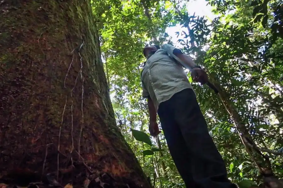 RECONEXIÓN CON LA NATURALEZA. Diego Sáez Gil quiere proteger las yungas tucumanas.