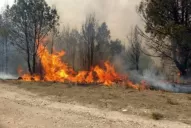 No habrá grandes lluvias en lo que resta del año, estimó Minetti