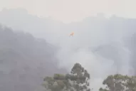 El caso de San Javier forma parte de una temporada de incendios nunca vista en la región